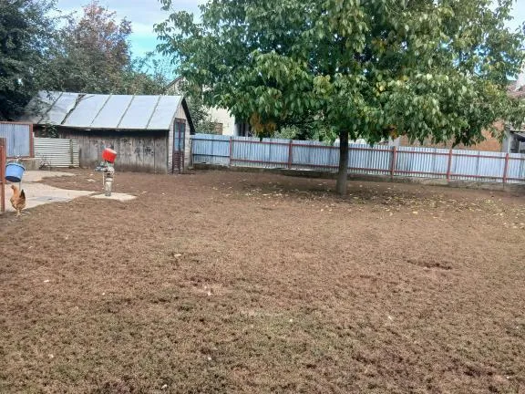 Eladó ház Nagyhegyes 72 nm