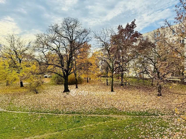 Eladó lakás Debrecen, Nagyerdőalja 54 nm
