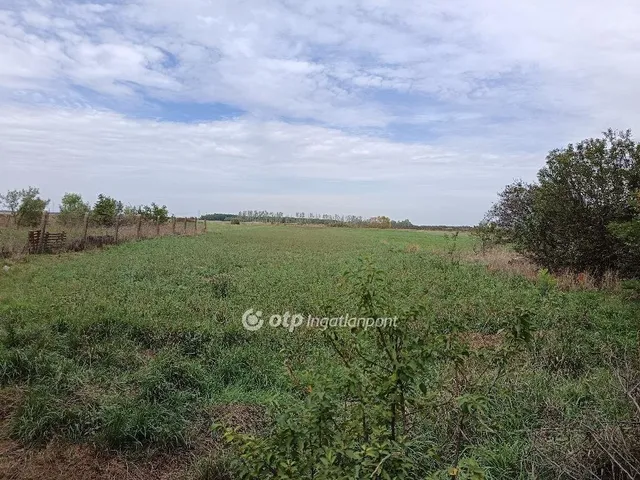 Eladó ház Zsáka 90 nm