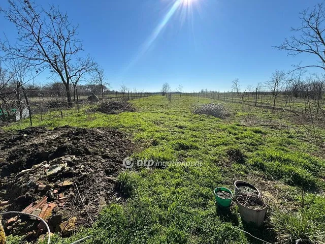 Eladó ház Darvas 76 nm