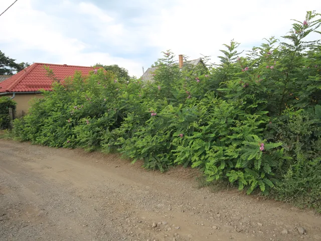 Eladó telek Debrecen, Nagysándor-telep 2877 nm