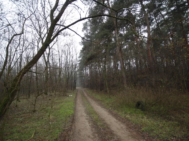 Eladó telek Debrecen, Szikigyakor 760 nm