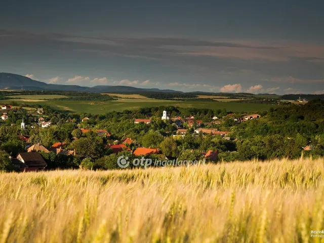 Eladó telek Gyermely 597 nm