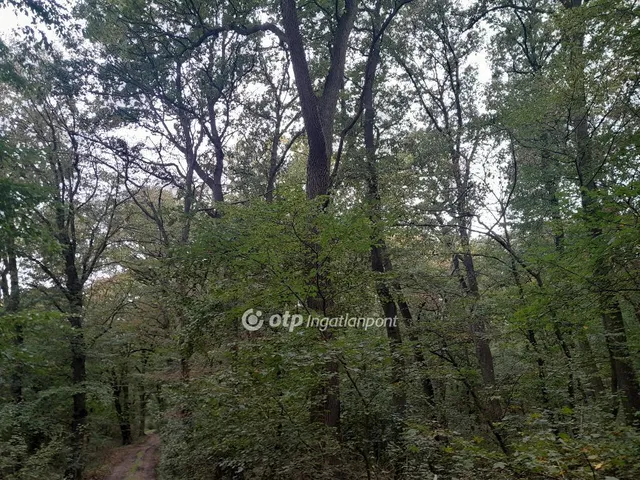 Eladó mezőgazdasági ingatlan Tarján 17240 nm