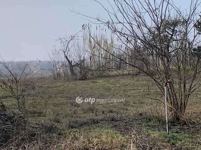 Eladó telek Nyíregyháza, Rozsrétszőlő 2352 nm