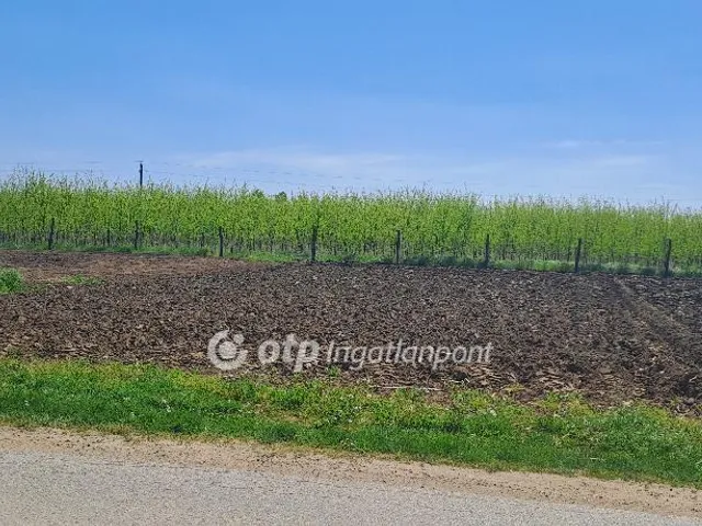 Eladó telek Napkor 937 nm