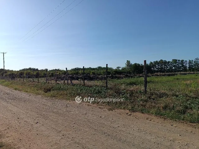 Eladó telek Nyíregyháza 16000 nm