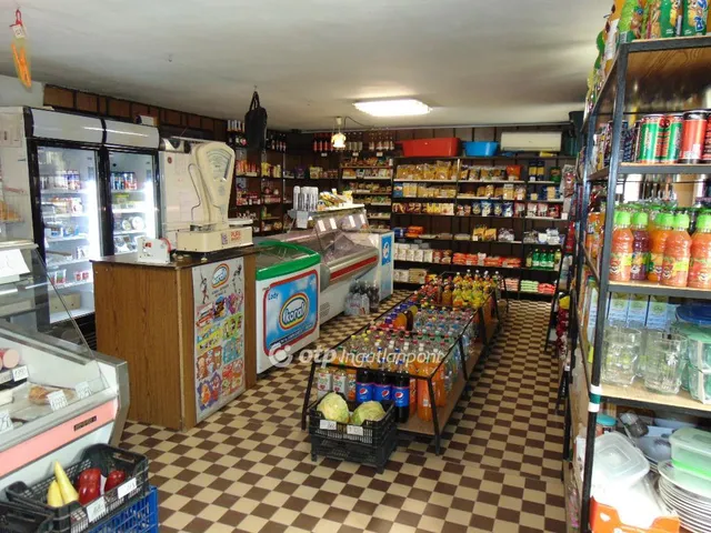 Eladó kereskedelmi és ipari ingatlan Nyírmada 250 nm