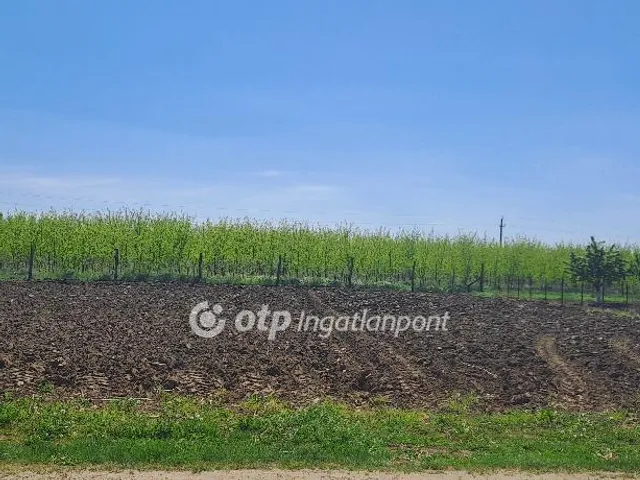 Eladó telek Napkor 937 nm