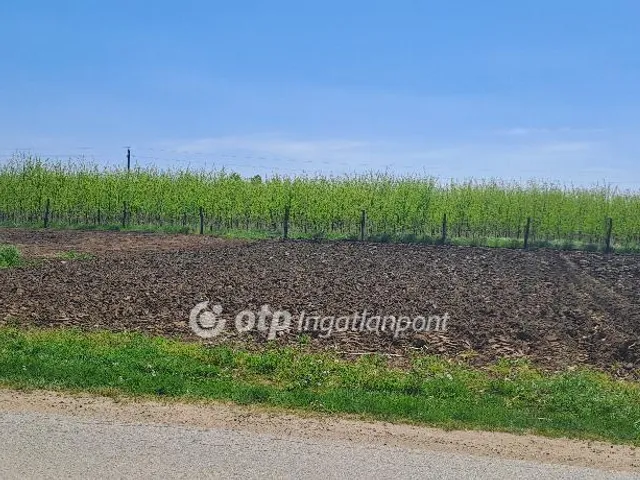 Eladó telek Napkor 937 nm