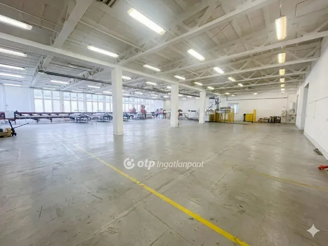 Eladó kereskedelmi és ipari ingatlan Nyírtelek 4000 nm