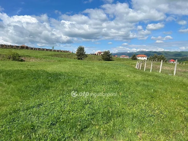 Eladó telek Berkenye 1760 nm