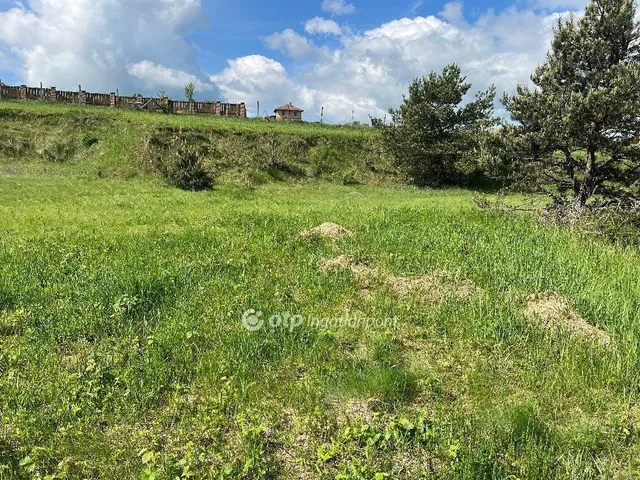 Eladó telek Berkenye 1760 nm