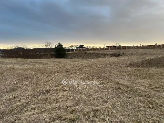 Eladó telek Berkenye 1760 nm