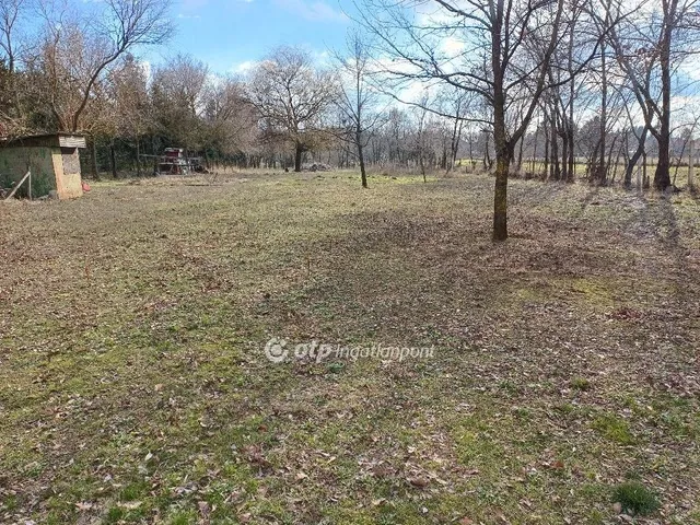 Kiadó ház Nyíregyháza 250 nm