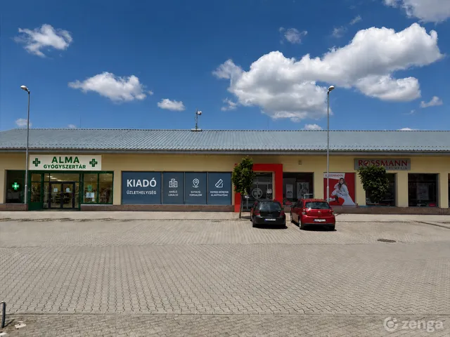 Kiadó kereskedelmi és ipari ingatlan Tiszakécske 101 nm