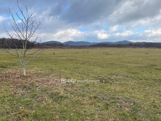 Eladó telek Budapest II. kerület 7311 nm