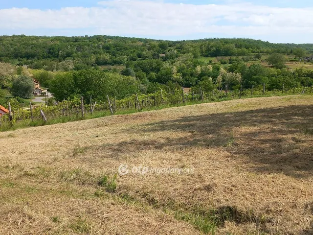 Eladó mezőgazdasági ingatlan Szekszárd 14753 nm