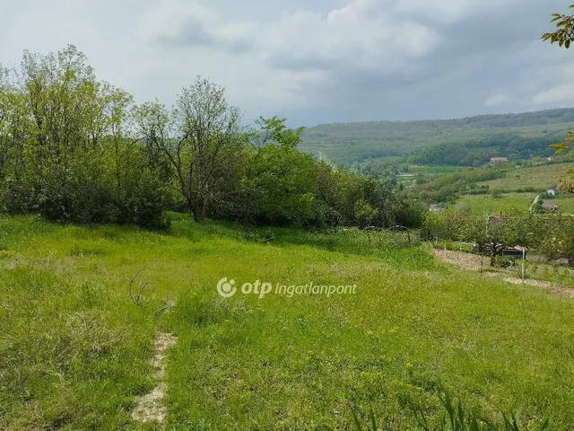 Eladó mezőgazdasági ingatlan Szekszárd 1628 nm