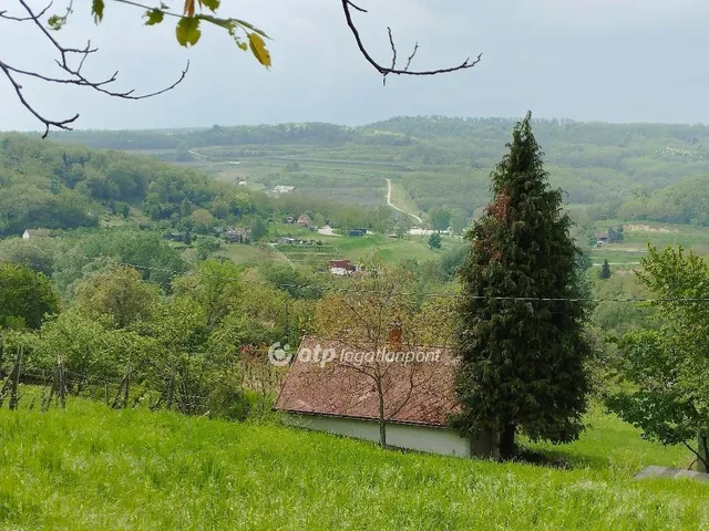 Eladó mezőgazdasági ingatlan Szekszárd 1628 nm