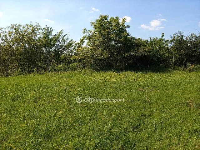 Eladó telek Gyönk 5072 nm