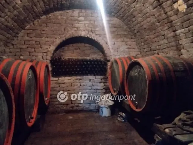 Eladó mezőgazdasági ingatlan Szekszárd 18 nm