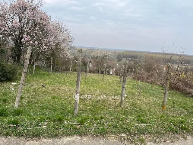 Eladó telek Szekszárd 1071 nm