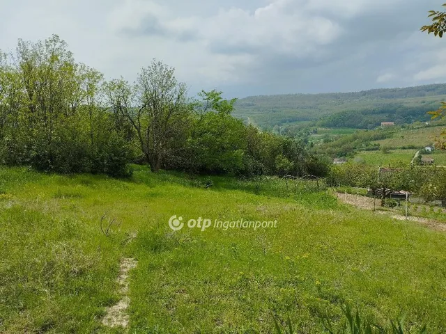 Eladó mezőgazdasági ingatlan Szekszárd 1628 nm