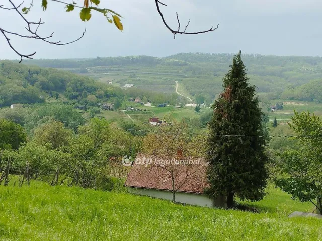 Eladó mezőgazdasági ingatlan Szekszárd 1628 nm
