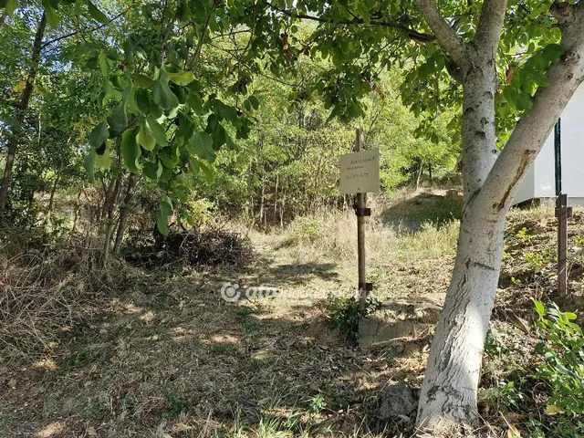 Eladó telek Szekszárd 2873 nm