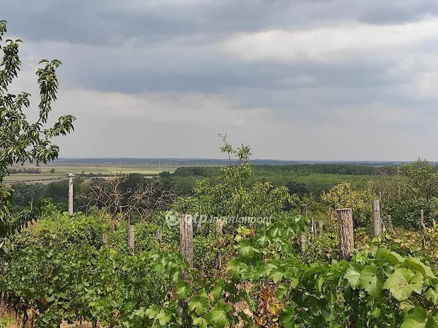 Eladó telek Szekszárd 995 nm