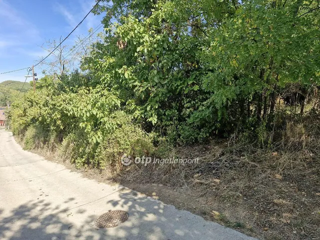 Eladó telek Szekszárd 2873 nm