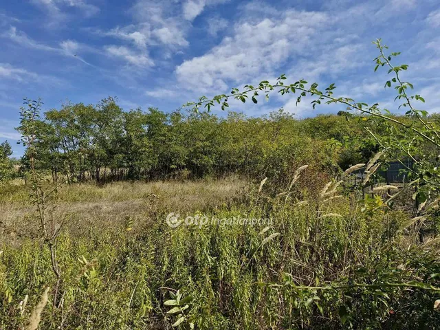 Eladó telek Szekszárd 2873 nm