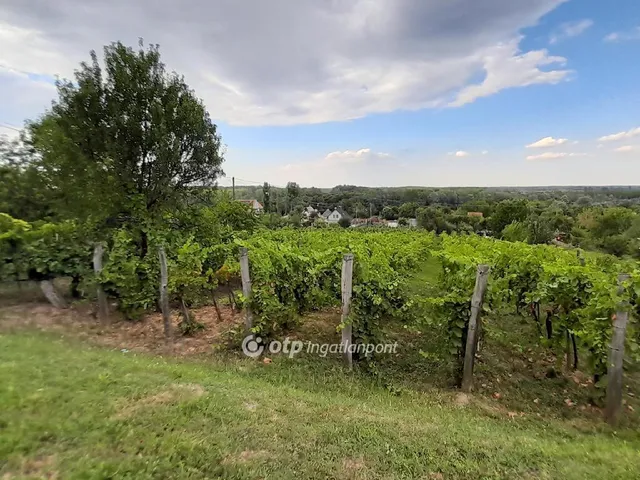 Eladó kereskedelmi és ipari ingatlan Szekszárd 50 nm