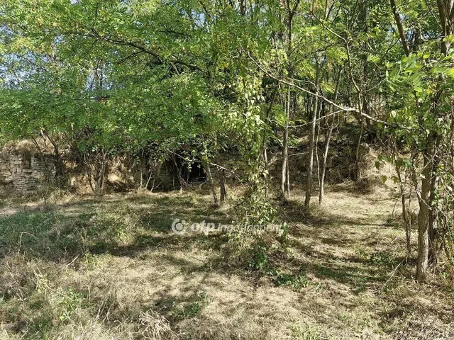 Eladó telek Szekszárd 2873 nm