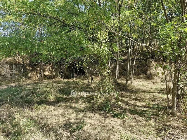 Eladó telek Szekszárd 2873 nm
