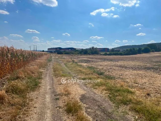 Eladó telek Szekszárd 3619 nm
