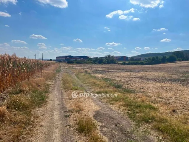 Eladó telek Szekszárd 3619 nm