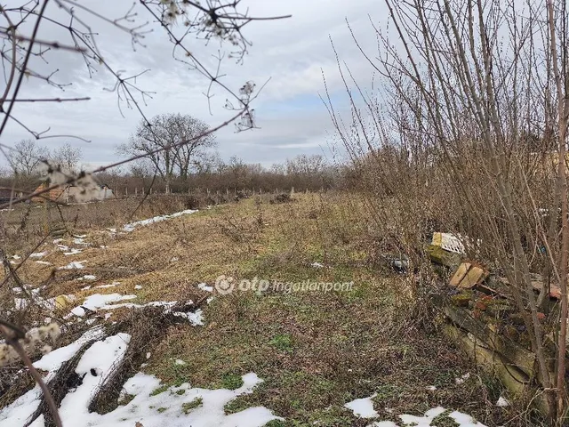 Eladó ház Villány 131 nm