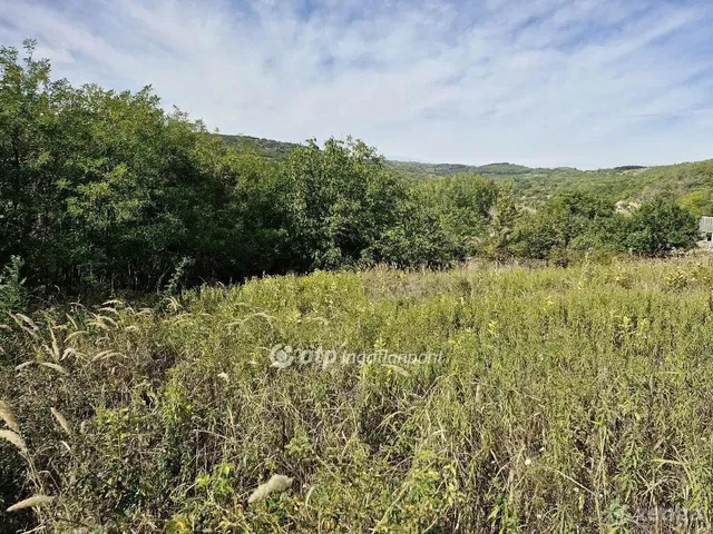 Eladó telek Szekszárd 2873 nm