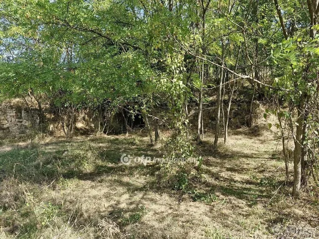 Eladó telek Szekszárd 2873 nm