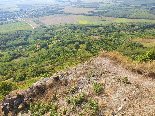 Eladó mezőgazdasági ingatlan Gyulakeszi 3450 nm