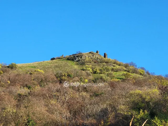 Eladó mezőgazdasági ingatlan Gyulakeszi 3450 nm