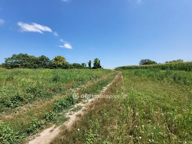 Eladó kereskedelmi és ipari ingatlan Siófok 11094 nm