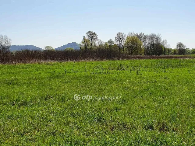 Eladó mezőgazdasági ingatlan Balatonederics 228255 nm