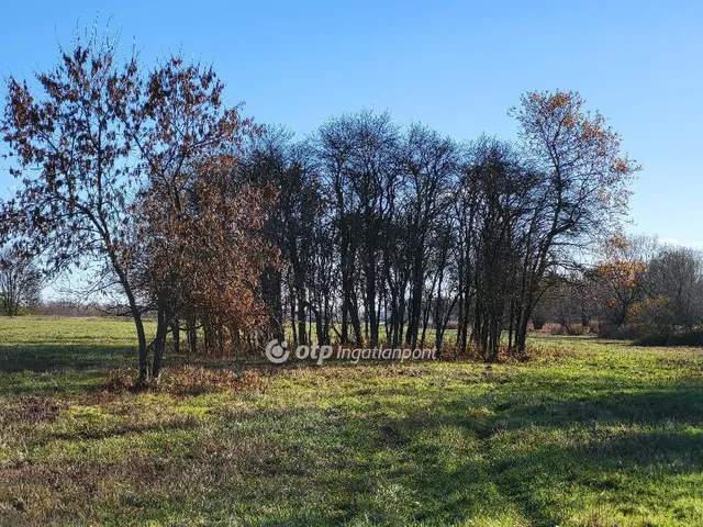 Eladó mezőgazdasági ingatlan Balatonederics 228255 nm