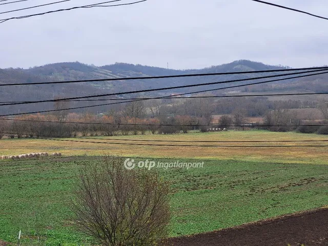 Eladó ház Tamási 164 nm