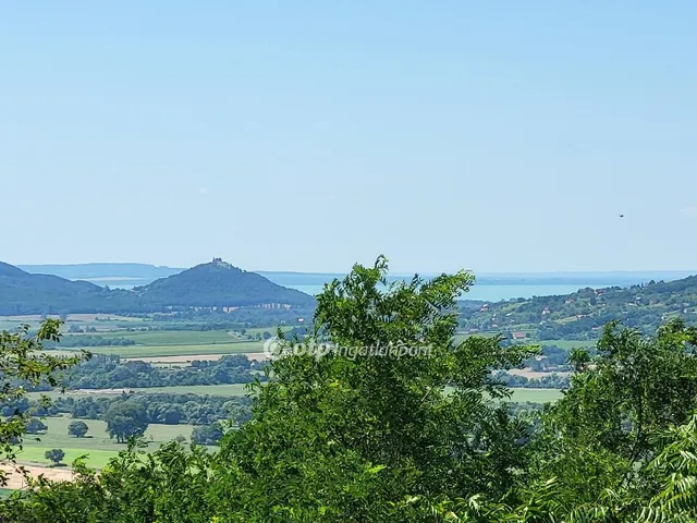 Eladó mezőgazdasági ingatlan Gyulakeszi 3450 nm