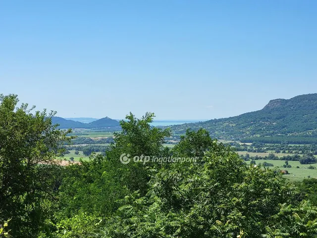 Eladó mezőgazdasági ingatlan Gyulakeszi 3450 nm