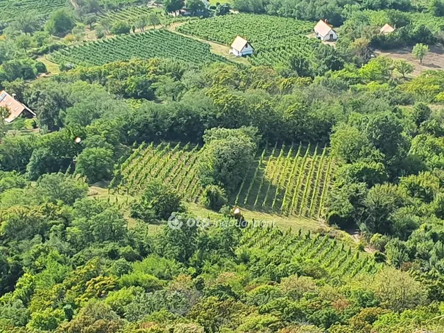 Eladó mezőgazdasági ingatlan Gyulakeszi 3450 nm